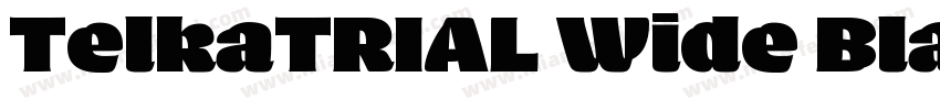 TelkaTRIAL Wide Black字体转换